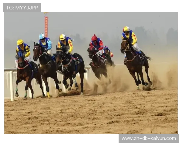 荷兰马术协会与非洲马术协会开展技术援助项目,提升当地水平。 荷兰马术协会与非洲马术协会开展技术援助项目,提升当地水平。